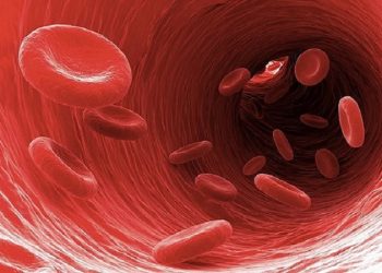 Εθελοντική αιμοδοσία διοργανώνει ο Δήμος Πωγωνίου