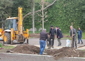 Φυτεύονται νέα δέντρα στην παραλίμνιο