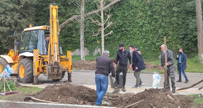 Φυτεύονται νέα δέντρα στην παραλίμνιο