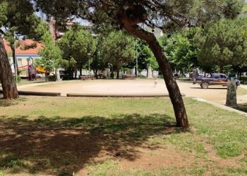 Το Άλσος αναμορφώνεται από τον Δήμο και υιοθετείται από την Κοινότητα