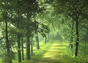 Προληπτική απαγόρευση της κυκλοφορίας σε δάση και δασύλλια της ΠΕ Ιωαννίνων