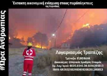 Ερυθρός Σταυρός: Συγκεντρώνει οικονομική βοήθεια για τους πυρόπληκτους