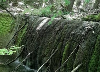 Διαγωνισμός ομορφότερου μπαλκονιού- Βράβευση φωτογραφίας