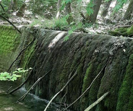 Διαγωνισμός ομορφότερου μπαλκονιού- Βράβευση φωτογραφίας