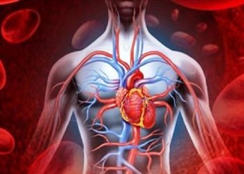 Διαδικτυακή διάλεξη με θέμα: ΠΩΣ ΘΑ ΑΠΟΦΥΓΟΥΜΕ ΤΟ ΕΜΦΡΑΓΜΑ ΜΥΟΚΑΡΔΙΟΥ ΚΑΙ ΤΟ ΕΓΚΕΦΑΛΙΚΟ;