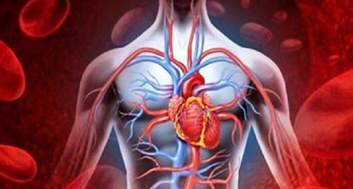 Διαδικτυακή διάλεξη με θέμα: ΠΩΣ ΘΑ ΑΠΟΦΥΓΟΥΜΕ ΤΟ ΕΜΦΡΑΓΜΑ ΜΥΟΚΑΡΔΙΟΥ ΚΑΙ ΤΟ ΕΓΚΕΦΑΛΙΚΟ;