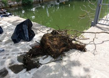 Πόσα “καλούδια” και πόσα “μυστικά”…κρύβει η λιμνη των Ιωαννίνων…