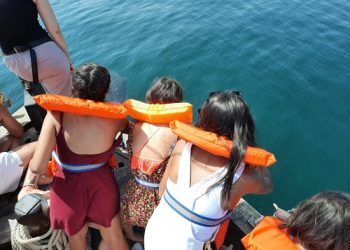 Όταν τα παιδιά της Κιβωτού του Κόσμου συνάντησαν τα δελφίνια του Αμβρακικού η πλάση Του χαμογέλασε!