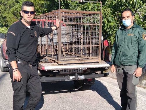 Επ’ αυτοφώρω σύλληψη λαθροκυνηγού που είχε τοποθετήσει αυτοσχέδια σιδερένια παγίδα