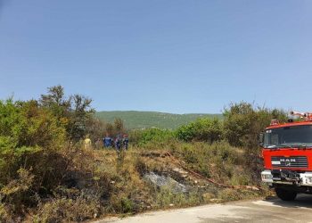 Άμεση και καθοριστική επέμβαση της Πυροσβεστικής στις πυρκαγιές στο Δήμο Δωδώνης