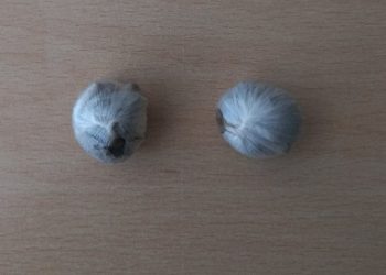 Συνελήφθη με συσκευασίες κοκαίνης στην κατοχή του