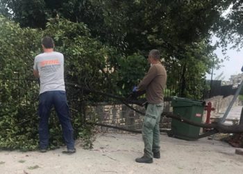 Άμεση επέμβαση των υπηρεσιών του Δήμου από το χθεσινό μπουρίνι