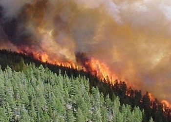 Γ. Γόγολος: Όπλο για την αντιμετώπιση της φωτιάς αποτελεί η πρόληψη αυτής