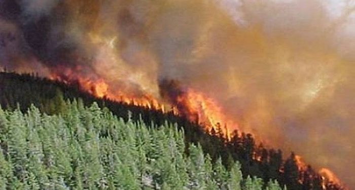 Γ. Γόγολος: Όπλο για την αντιμετώπιση της φωτιάς αποτελεί η πρόληψη αυτής