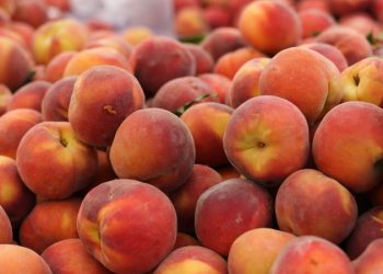 Διανομή φρούτων από τον Σύλλογο Τριτέκτων Ιωαννίνων