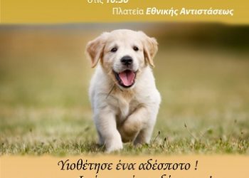 «Υιοθέτησε ένα αδέσποτο –Φρόντισε ένα αδέσποτο – Γίνε Εθελοντής!» από τον Δήμο Αρταίων και το Φιλοζωικό Σωματείο Άρτας