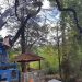 Δήμος Πωγωνίου: Εργασίες κοπής και κλάδευσης ξερών κι επικίνδυνων δέντρων