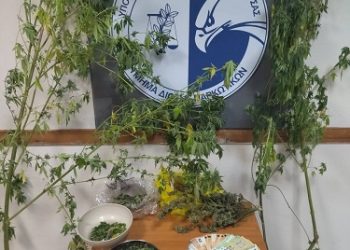 Συνελήφθη σε περιοχή της Θεσπρωτίας ημεδαπός για καλλιέργεια, κατοχή και διακίνηση ναρκωτικών