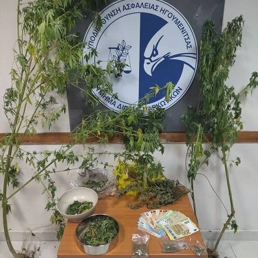 Συνελήφθη σε περιοχή της Θεσπρωτίας ημεδαπός για καλλιέργεια, κατοχή και διακίνηση ναρκωτικών