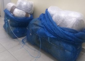 Πάνω από 53 κιλά ακατέργαστης κάνναβης κατασχέθηκαν σε περιοχή της Θεσπρωτίας