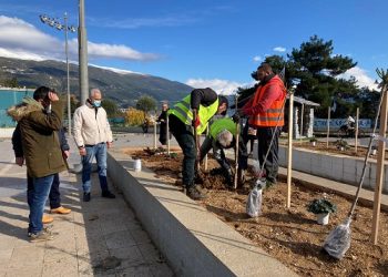 Απέκτησε χρώμα η κεντρική πλατεία