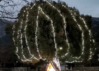 Το δέντρο της θα ανάψει η Αδελφότητα Σκλιβανιτών Ιωαννίνων