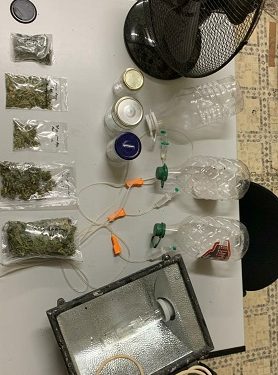 Συνελήφθη ημεδαπός σε περιοχή των Ιωαννίνων για κατοχή και καλλιέργεια ναρκωτικών