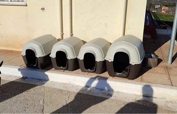 Δωρεά σπιτιών για τα αδέσποτα του κυνοκομείου