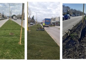 Νέο αρδευτικό σύστημα και νέες φυτεύσεις