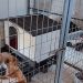 Πιστοποιημένα σπιτάκια για τα αδέσποτα του κυνοκομείου