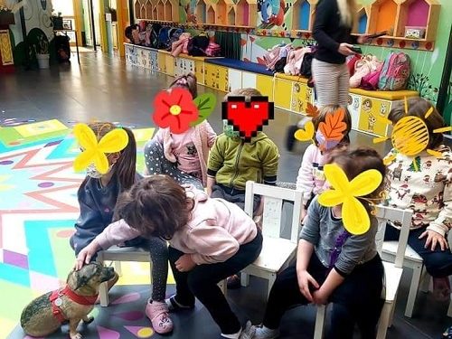 Δράσεις ευαισθητοποίησης για τα αδέσποτα στα σχολεία της πόλης