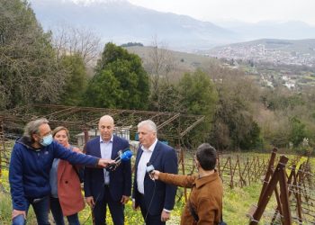 4 χιλιάδες στρέμματα δασωμένοι αγροί στο Δήμο Ζίτσας, ξανά στα χέρια των ιδιοκτητών τους