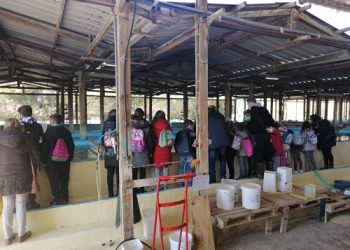 Επίσκεψη μαθητών του Δημοτικού Σχολείου Ξηρολόφου Σουλίου στις μονάδες ιχθυοκαλλιέργειας της Θεσπρωτίας