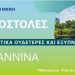 Τα Γιάννενα αλλάζουν και γίνονται μία από τις 100 κλιματικά ουδέτερες ευρωπαϊκές πόλεις