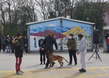 ΔΗΜΟΣ ΖΙΤΣΑΣ: Εκδήλωση ενημέρωσης και ευαισθητοποίησης στο Γυμνάσιο Ελεούσας για την Παγκόσμια Ημέρα Αδέσποτων ζώων