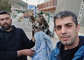 Διάσωση γερακίνας στο Κεφαλόβρυσο Δήμου Πωγωνίου