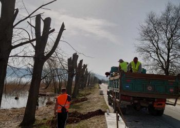 Δενδροφύτευση στην παραλίμνια περιοχή των Ιωαννίνων