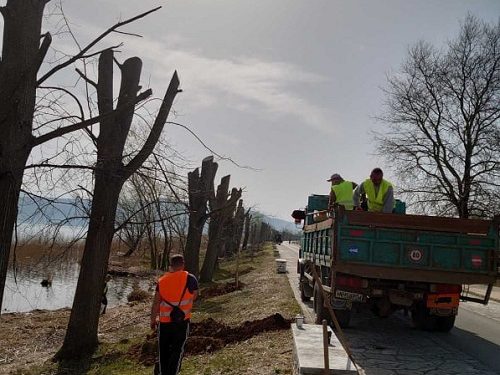 Δενδροφύτευση στην παραλίμνια περιοχή των Ιωαννίνων
