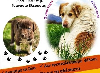 ΔΗΜΟΣ ΖΙΤΣΑΣ: Εκδήλωση ενημέρωσης και ευαισθητοποίησης με αφορμή την Παγκόσμια Ημέρα Αδέσποτων ζώων