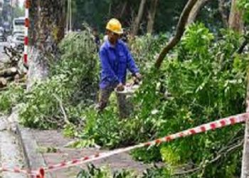 Σε εξέλιξη η κοπή χόρτων κα οι καθαρισμοί