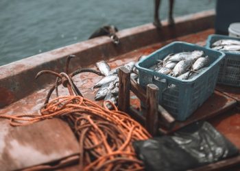 Διακόπτεται η διενέργεια αλιείας και εκφόρτωσης τόνου