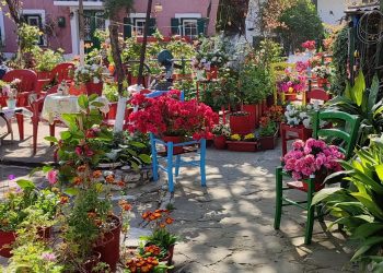 Στο Νησί το βραβείο για τον ομορφότερο κήπο