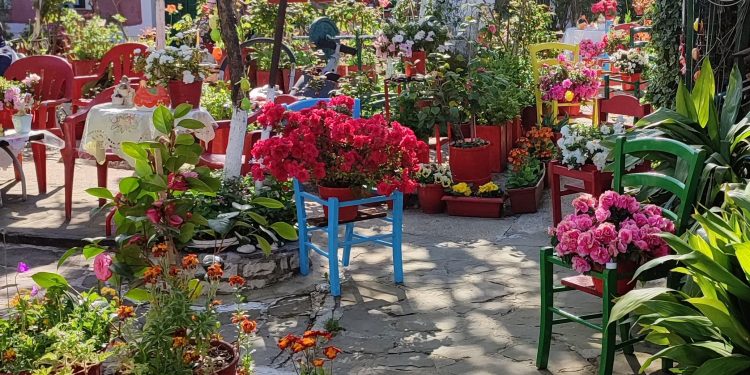 Στο Νησί το βραβείο για τον ομορφότερο κήπο