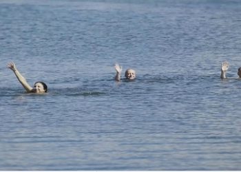 Κολυμπάμε στη λίμνη Παμβώτιδα όπως παλιά