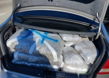 Μετέφεραν με αυτοκίνητο 128,5 κιλά ακατέργαστης κάνναβης