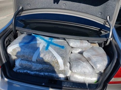 Μετέφεραν με αυτοκίνητο 128,5 κιλά ακατέργαστης κάνναβης