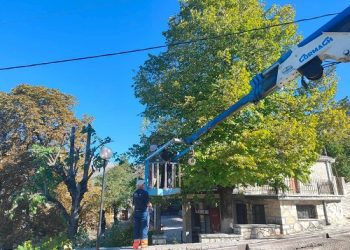 Στο μέσο της διαδικασίας βρίσκεται η κλάδευση και κοπή επικίνδυνων δέντρων στο Δήμο Πωγωνίου