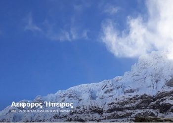 Αειφόρος Ήπειρος: Συνέντευξη Τύπου Γνωριμίας