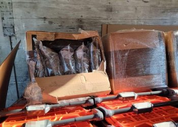 Περίπου 59 κιλά ακατέργαστης κάνναβης υδροπονικής καλλιέργειας (skunk) εντοπίστηκαν σε φορτηγό σε περιοχή της Θεσπρωτίας