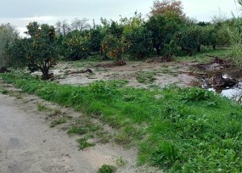 Ερώτηση Χρήστου Γκόκα σχετικά με τις πλημμύρες και καταστροφές σε Δήμους της Π. Ε. Άρτας